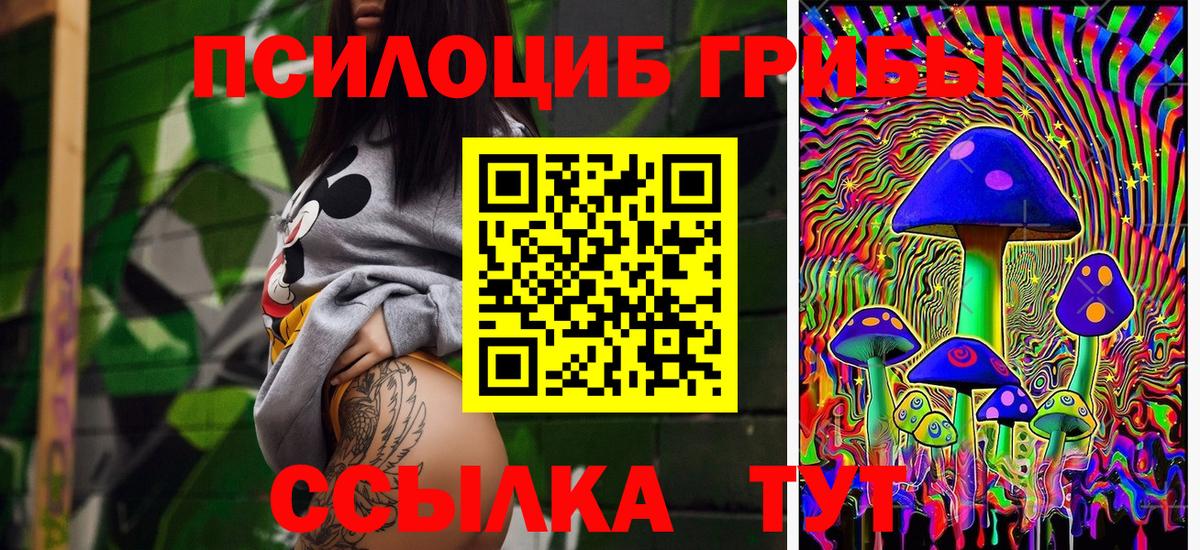Галлюциногенные грибы MAGIC MUSHROOMS  Вход с VPN  Сухой Лог 