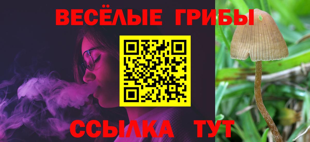 Галлюциногенные грибы GOLDEN TEACHER Сухой Лог